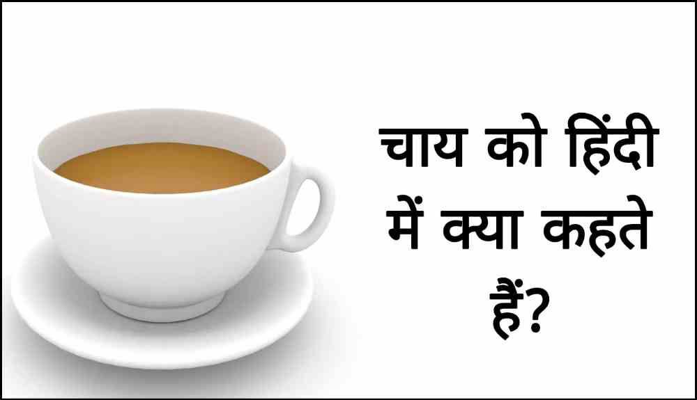 चाय को हिंदी में क्या कहते हैं? | Chai ko Hindi me kya kehte hai